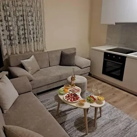 Quiet, Cozy, Luminous ティラナ